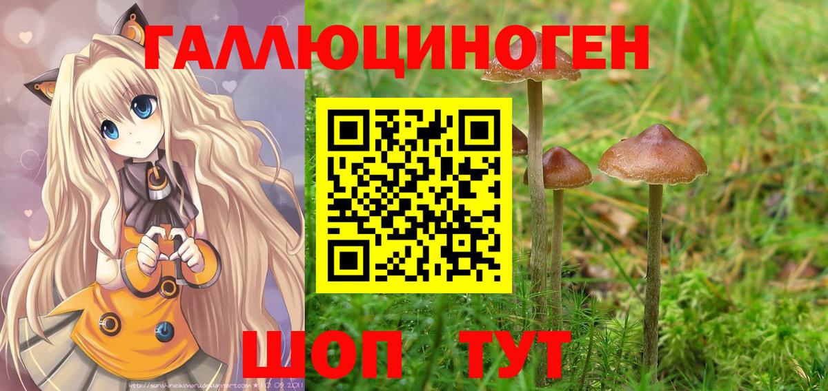 Ипатово  Псилоцибиновые грибы Psilocybe  Вход с VPN  Псилоцибиновые грибы Psilocybe 