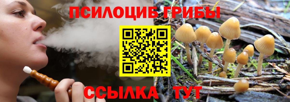 Псилоцибиновые грибы GOLDEN TEACHER Ипатово